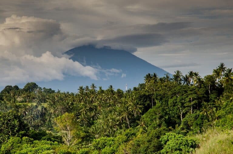 volcano, costa rica, palm trees-384667.jpg